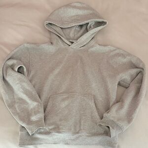 Aritzia Perfect Fit Heather Gray Hoodie